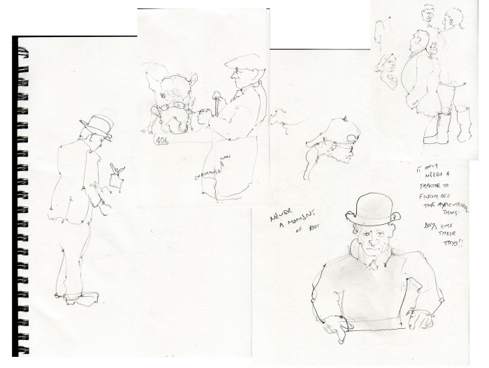 Royal Norfolk Show, country life, best in show, audience sketches