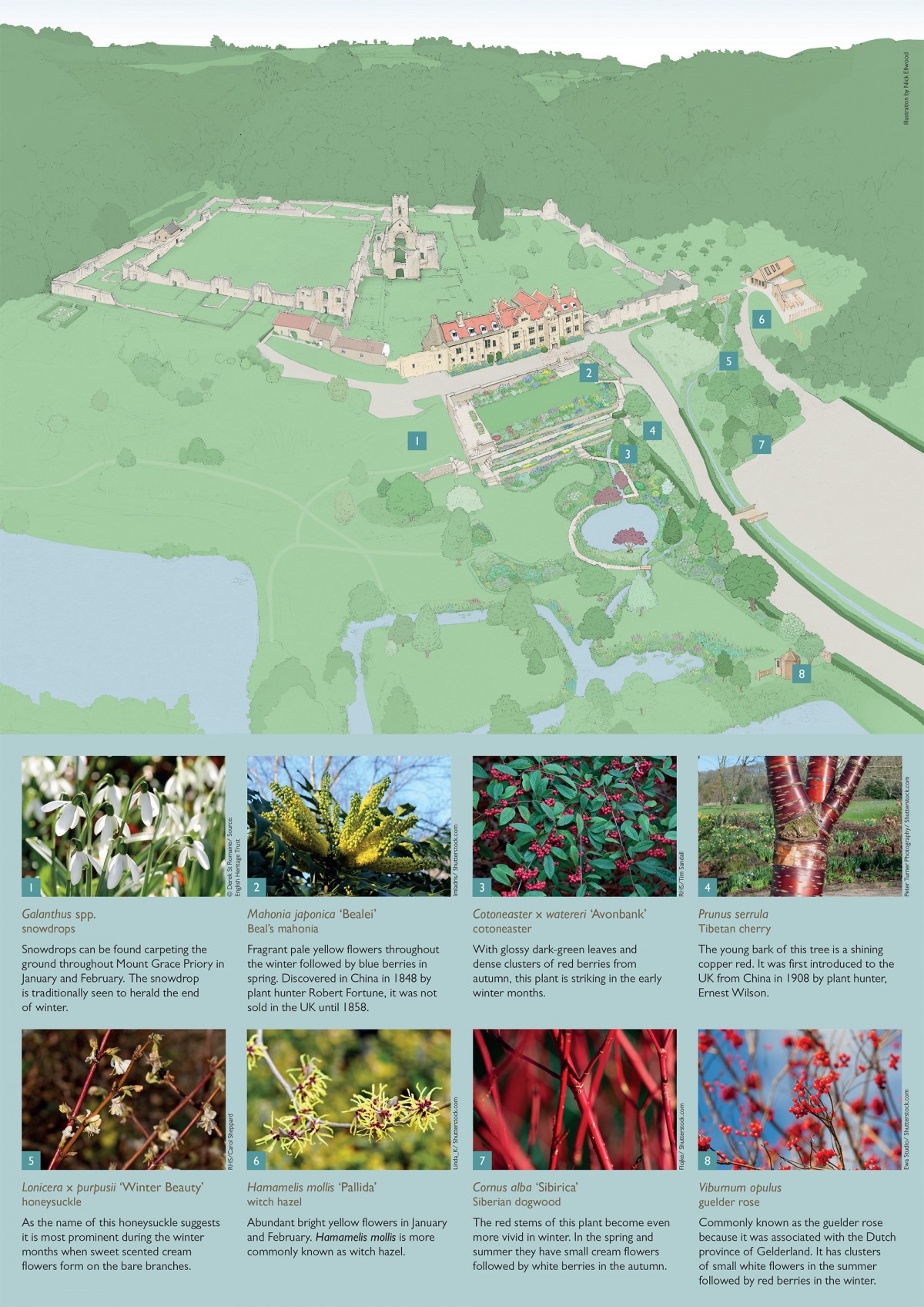 Nick Ellwood Illustrated map for Mount Grace Priory House & Gardens